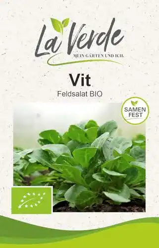 Bio-Feldsalat-Samen La Verde VIT für den eigenen Garten