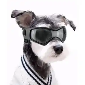 Sonnenbrille für Hunde Namsan – UV-Schutz und winddicht