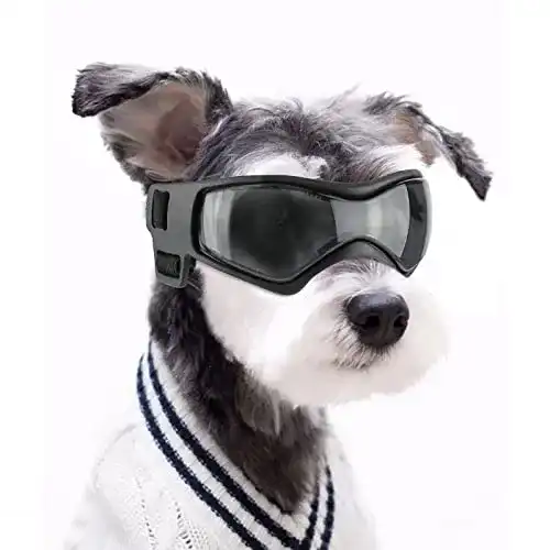 Sonnenbrille für Hunde Namsan – UV-Schutz und winddicht