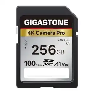 Gigastone SDXC 256GB Speicherkarte für Digitalkameras und 4K Video