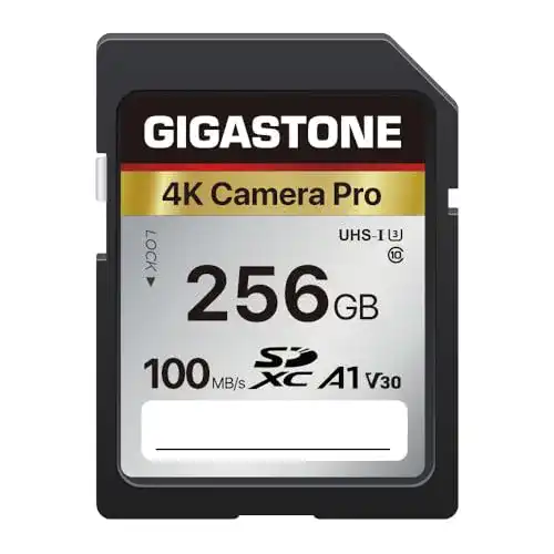 Gigastone SDXC 256GB Speicherkarte für Digitalkameras und 4K Video