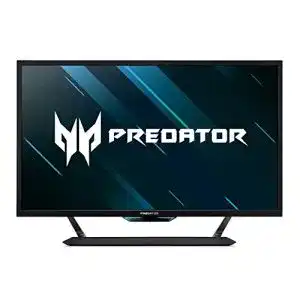 Acer Predator CG437KP Gaming Monitor 42,5 Zoll 4K UHD