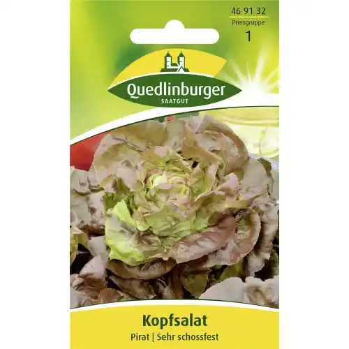 Kopfsalat-Samen Quedlinburger für den eigenen Garten