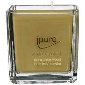 Kerzen im Glas von Ipuro – Cedar Wood Duftkerzen im minimalistischen Design