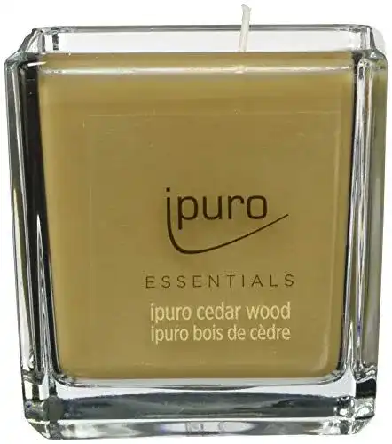 Kerzen im Glas von Ipuro – Cedar Wood Duftkerzen im minimalistischen Design