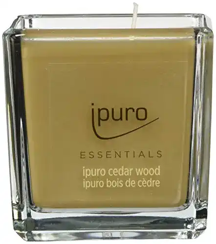 Kerzen im Glas von Ipuro – Cedar Wood Duftkerzen im minimalistischen Design