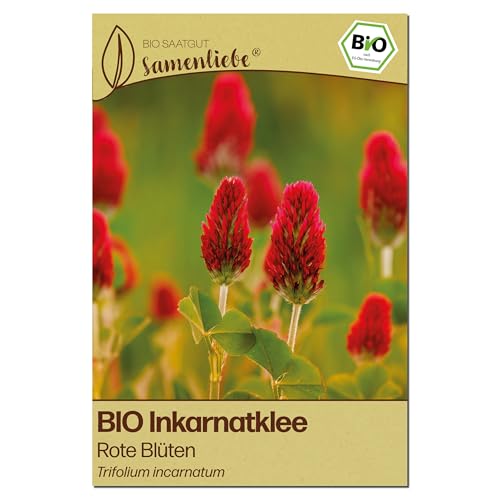 Kleesamen Samenliebe Bio Inkarnatklee Samen mit roten Blüten