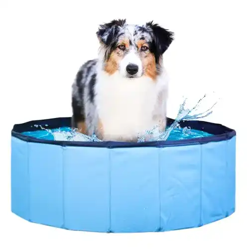 Hundepool Wahre Tierliebe ® Faltbar, ohne Pumpen