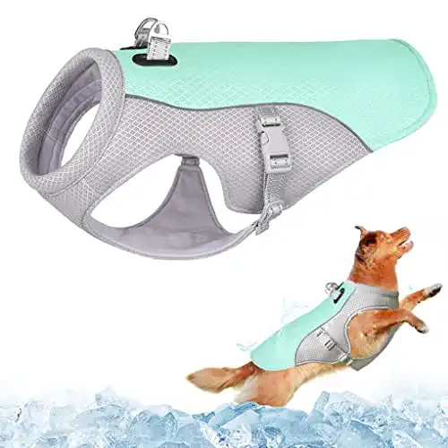 Kühlweste für Hunde Dolahovy – Atmungsaktive Mesh Kühljacke