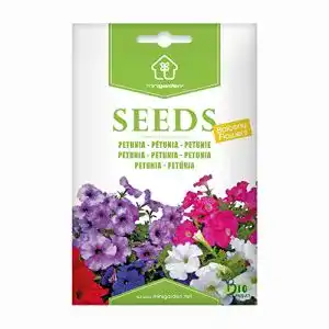 Petunien-Samen Minigarden Bio-Petunie-Samen 100% natürlich und GVO-frei