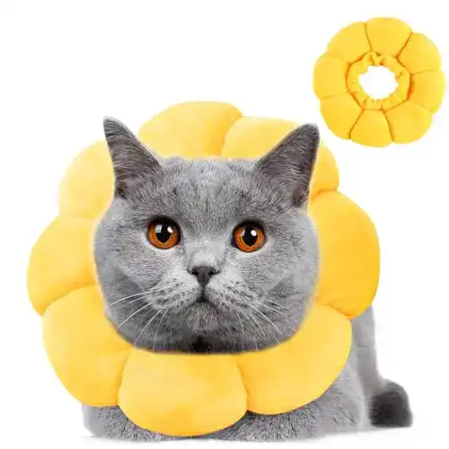 Halskrause für Katzen Wishstar Größe S – Leckschutz und Komfort
