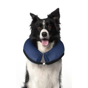 Halskrause für Hunde – Aufblasbarer Hundekragen Größe L für große Rassen