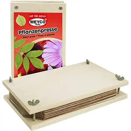 Meyco Blumenpresse, Pflanzenpresse 24,9 x 14 cm für Blütenpräparation