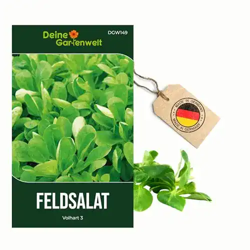 Feldsalat Samen Volhart 3 für den Anbau im Garten