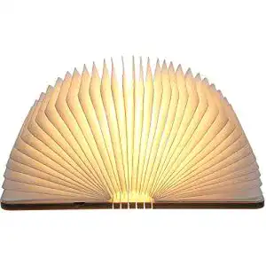 Buchlampe Neoglint LED-Lampe aus Holz mit Fernbedienung und 12 Farben