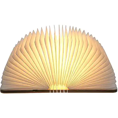 Buchlampe Neoglint LED-Lampe aus Holz mit Fernbedienung und 12 Farben