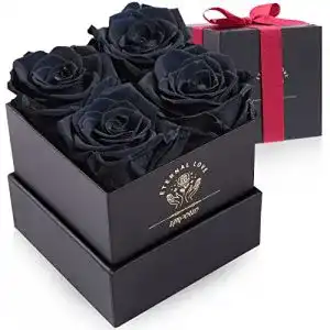 Rosenbox Impouo mit 4 konservierten Infinity Rosen