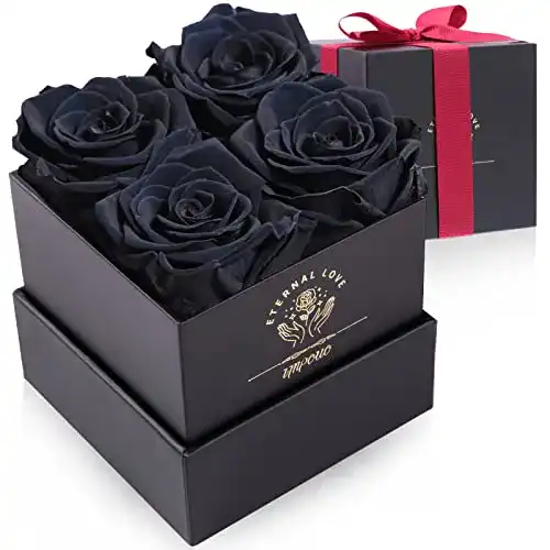 Rosenbox Impouo mit 4 konservierten Infinity Rosen
