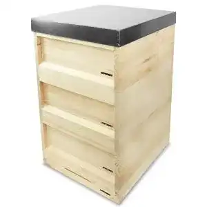 Bienenstock Apiformes Zander Beute ZN 10 aus Weymouthskiefer