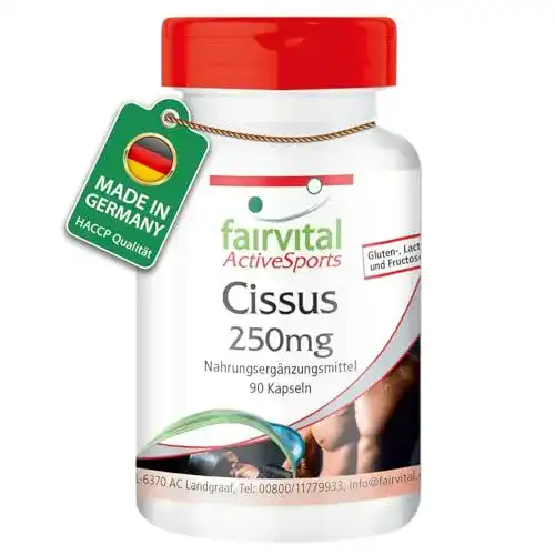 Cissus quadrangularis Kapseln von Fairvital – 90 Stück mit Ketosterone und Calcium