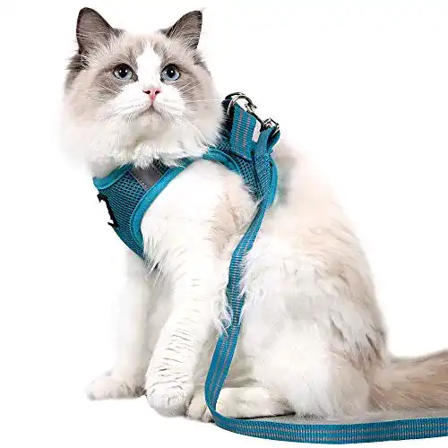 Katzengeschirr für Kätzchen mit Leine ultraleichtes und bequemes Design