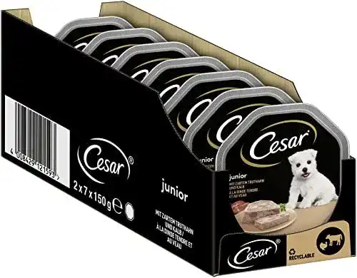 Cesar Welpen Nassfutter für Junior Hunde
