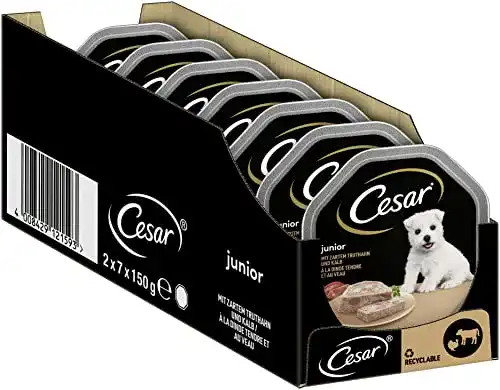 Cesar Welpen Nassfutter für Junior Hunde
