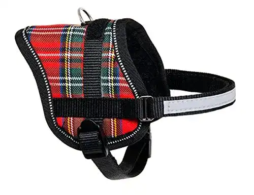 Katzengeschirr Karlie Teeny Weeny, Breite 15 mm, Umfang 31 – 40 cm