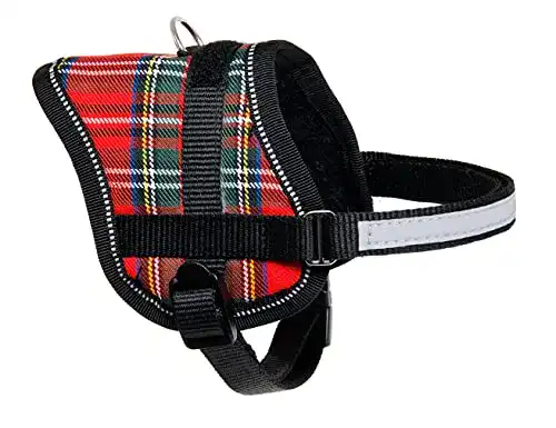 Katzengeschirr Karlie Teeny Weeny, Breite 15 mm, Umfang 31 – 40 cm