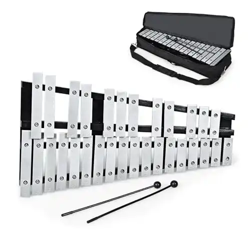 Xylophon Costway 30 Noten Glockenspiel mit 2 Schlägeln und Tragetasche