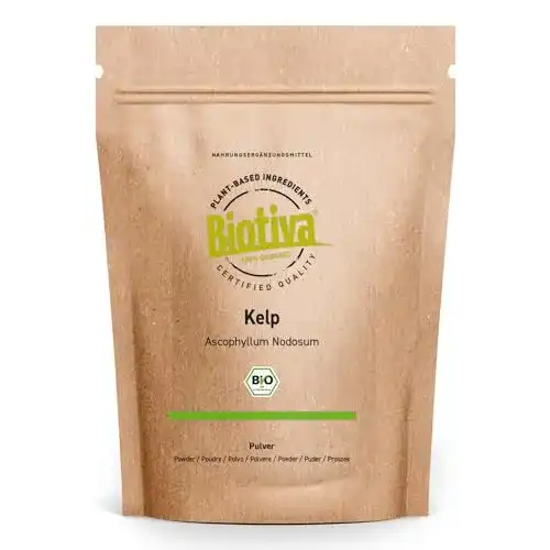 Kelp Biotiva Pulver Bio 200g – Natürliches Jod aus Algen
