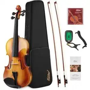 Geige Eastar 4/4 Violine Set aus Massivholz mit Hartschalenkoffer