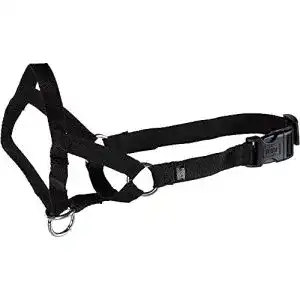 Erziehungshalsband Trixie Top Trainer, Größe M (27 cm)