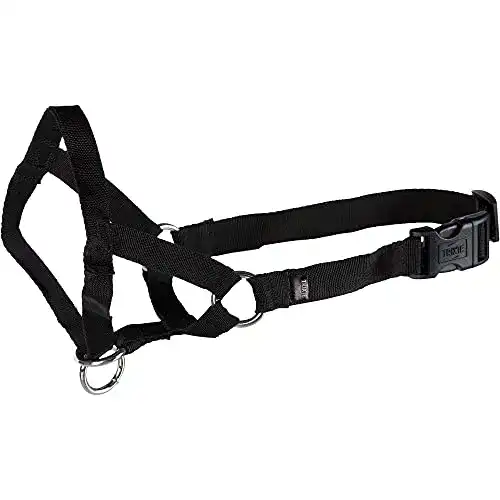 Erziehungshalsband Trixie Top Trainer, Größe M (27 cm)