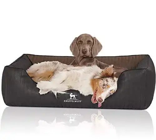 Hundebett aus Kunstleder von Knuffelwuff – Orthopädisches Modell XL