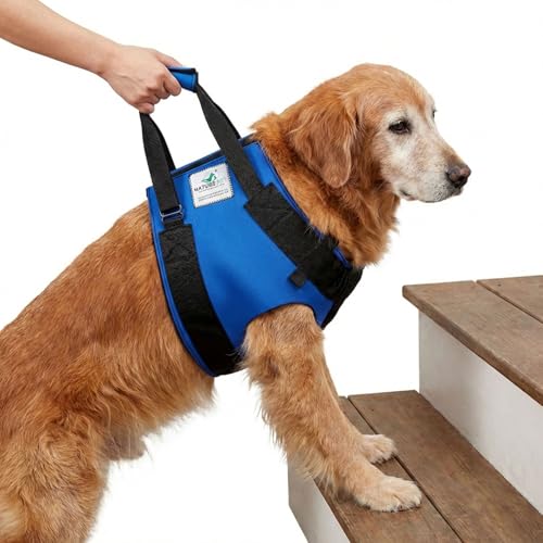 Tragehilfe für Hunde – Neopren Tragegurt für mehr Mobilität