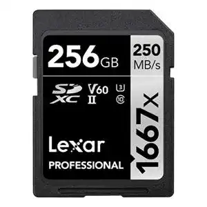 Lexar Professional 1667x SDXC Speicherkarte 256GB UHS-II