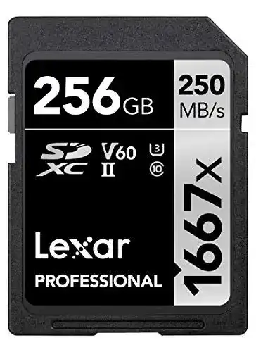 Lexar Professional 1667x SDXC Speicherkarte 256GB UHS-II