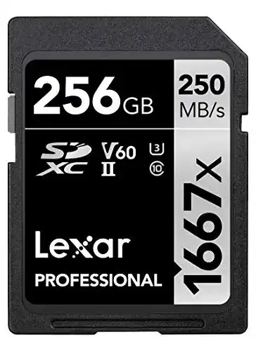 Lexar Professional 1667x SDXC Speicherkarte 256GB UHS-II