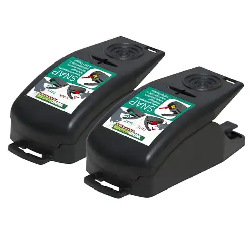Mausefalle Windhager SNAP Schlagfalle Doppelpack 2 Stück