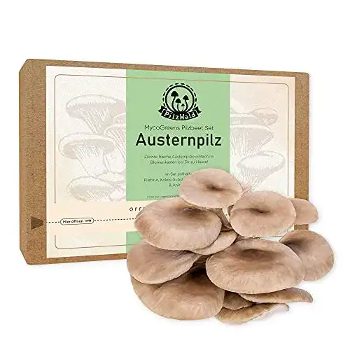 Pilzkultur PilzWald Zuchtset für Austernpilze, Fertig-Set
