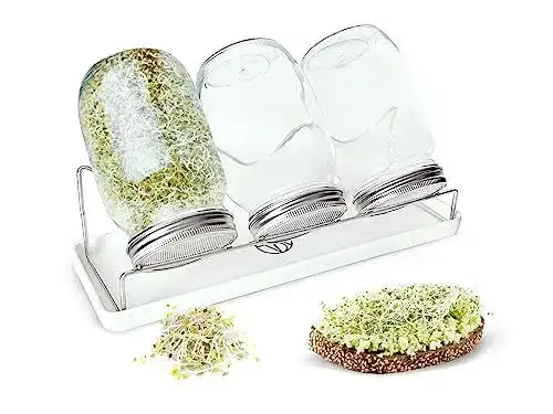 Sprossengläser VestaHome – Set mit 3 Keimgläsern und Zubehör