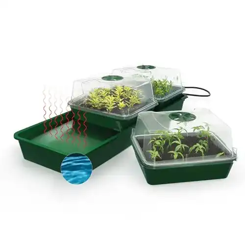 Zimmergewächshaus von Bio Green für Pflanzenanzucht „Hollandia“