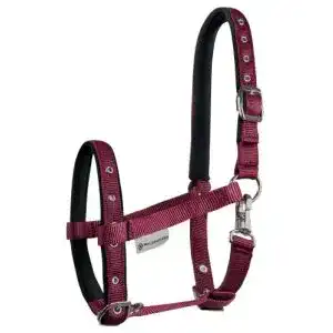 Fohlenhalfter Waldhausen Horse Fashion Comfort für optimalen Tragekomfort