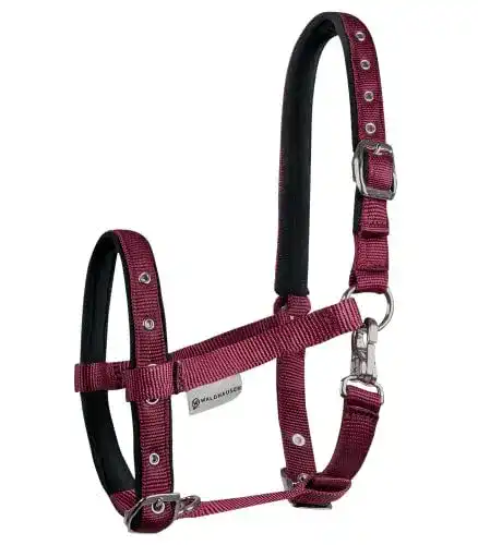 Fohlenhalfter Waldhausen Horse Fashion Comfort für optimalen Tragekomfort