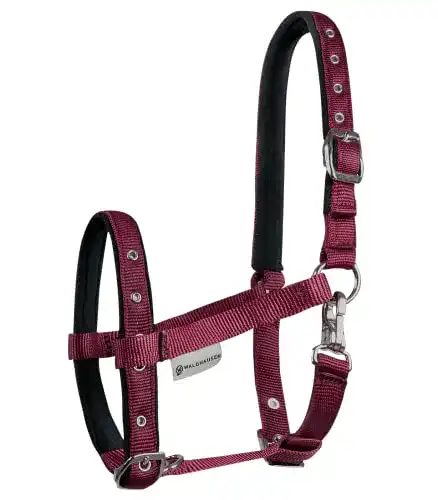 Fohlenhalfter Waldhausen Horse Fashion Comfort für optimalen Tragekomfort