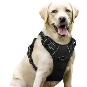 Hundegeschirr rabbitgoo No-Pull atmungsaktiv und verstellbar