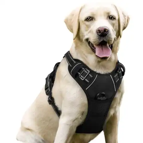 Hundegeschirr rabbitgoo No-Pull atmungsaktiv und verstellbar