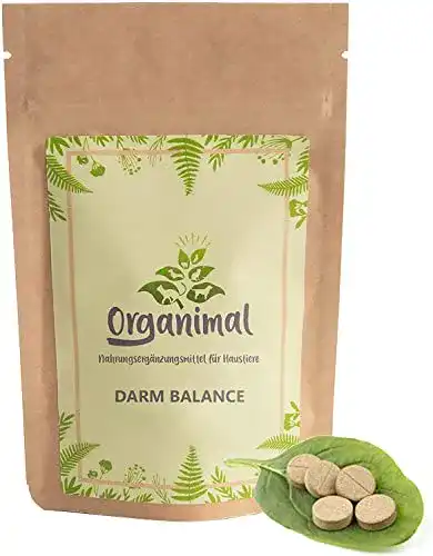 Probiotika für Katzen – Organimal Darm Balance Kautabletten