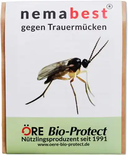Nematoden nemabest SF 6 Millionen für 60 Pflanzen gegen Trauermücken